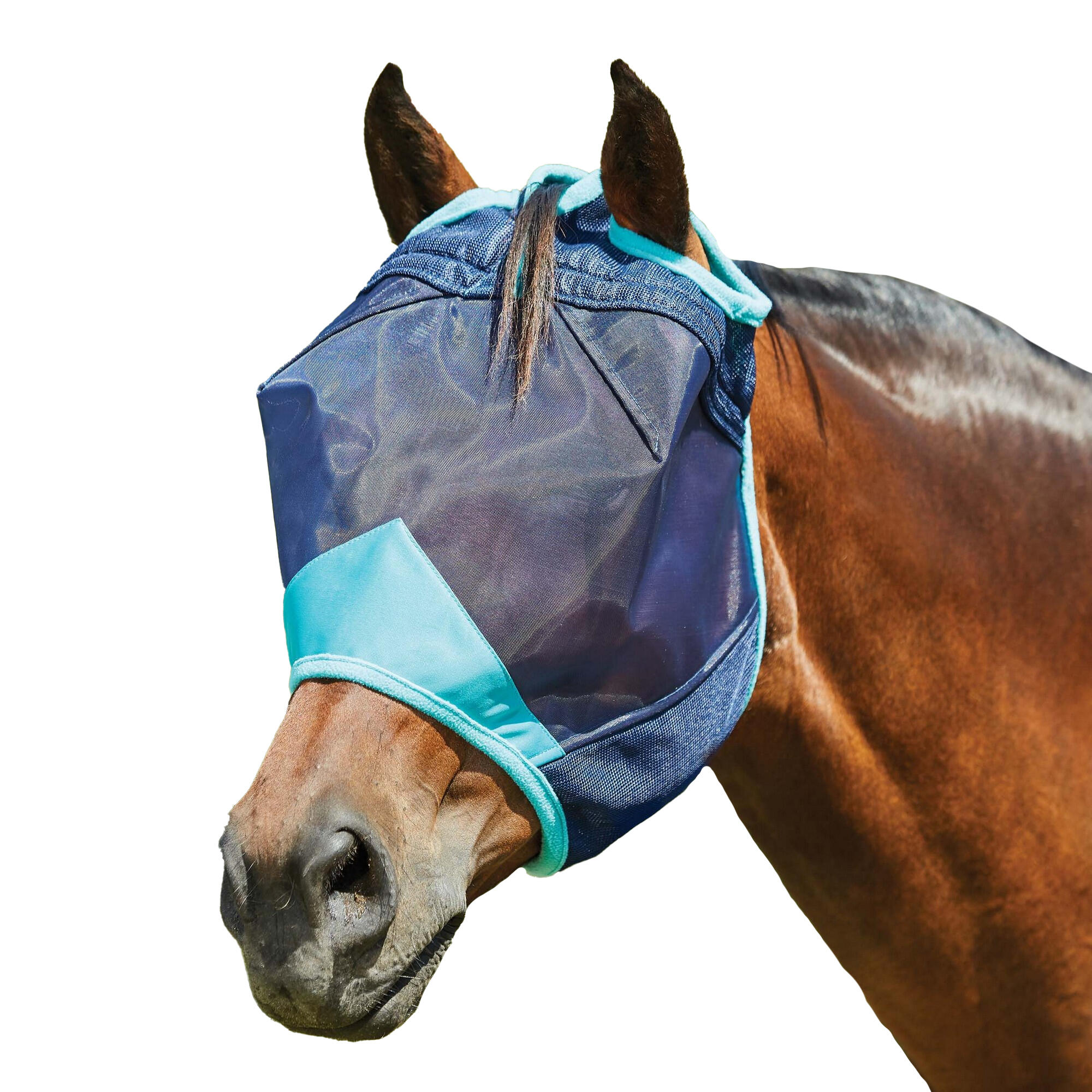 WEATHERBEETA Comfitec Deluxe Fine Mesh Horse Fly Mask (Navy/Turquoise)
