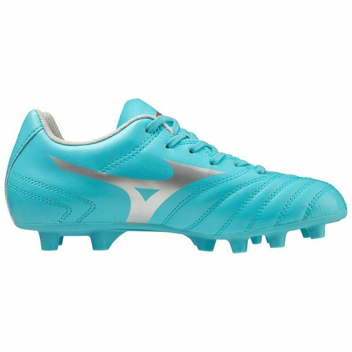 MIZUNO picture
