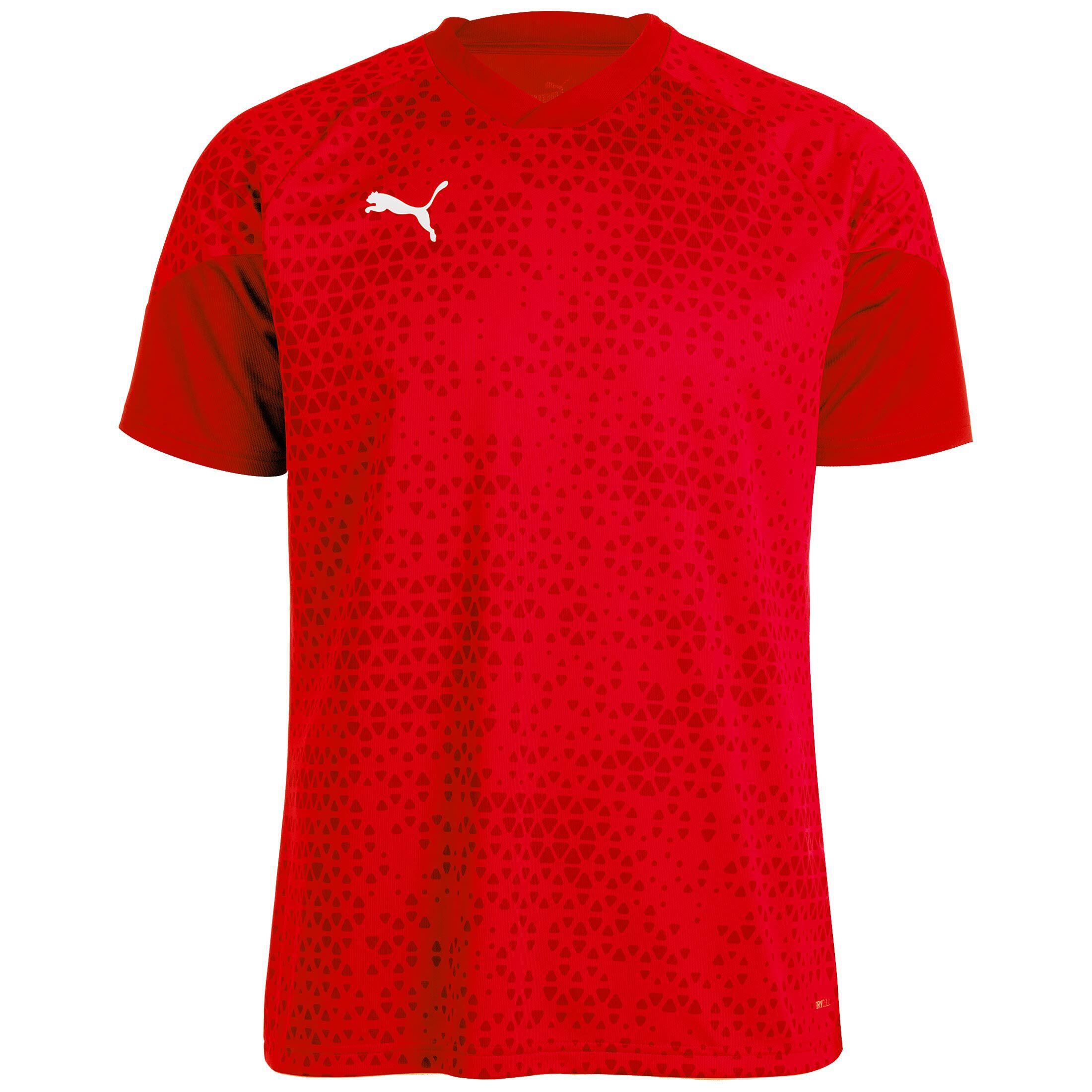 PUMA picture