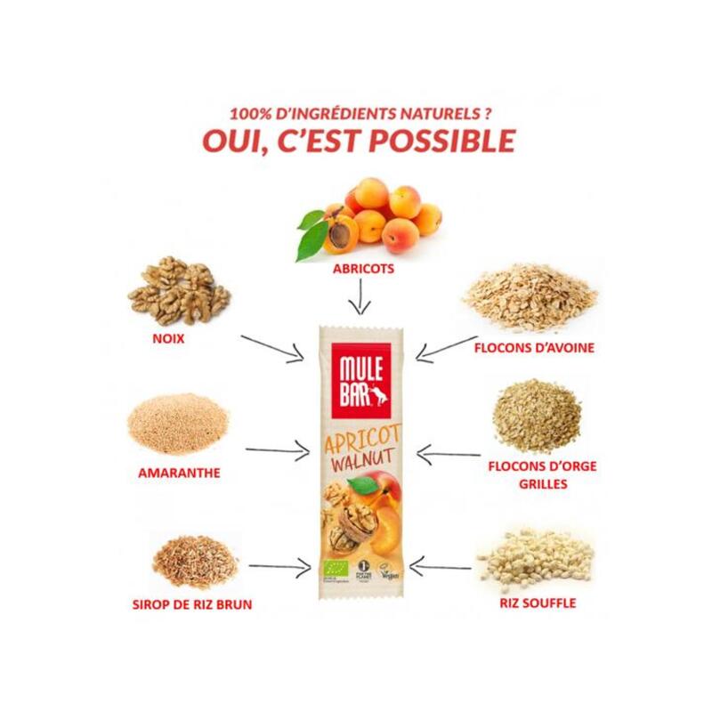 15 barres énergétiques aux céréales - Bio & Véganes - 40g - Abricot/Noix