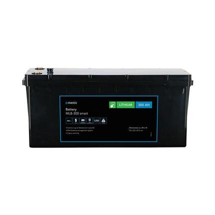 Mestic Lithium-Batterie MLB-300 smart
