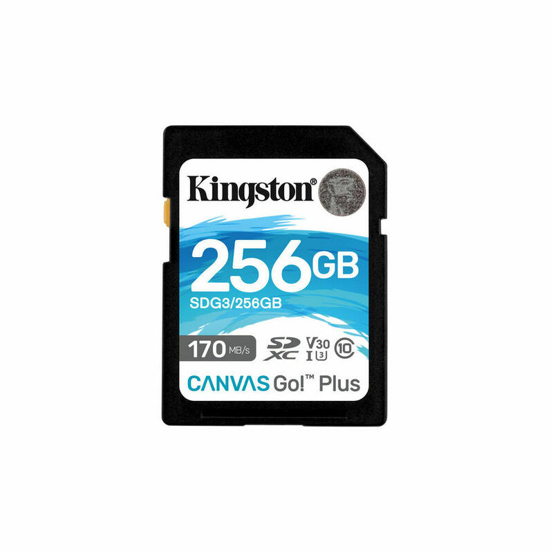 Tarjeta de Memoria SD SDG3/256GB