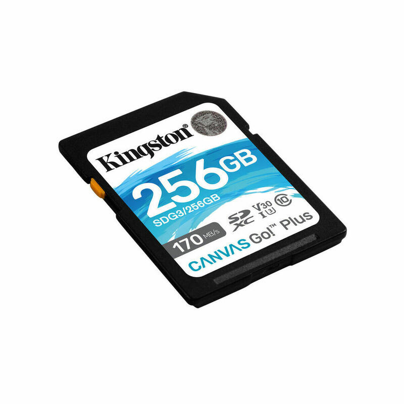 Tarjeta de Memoria SD SDG3/256GB