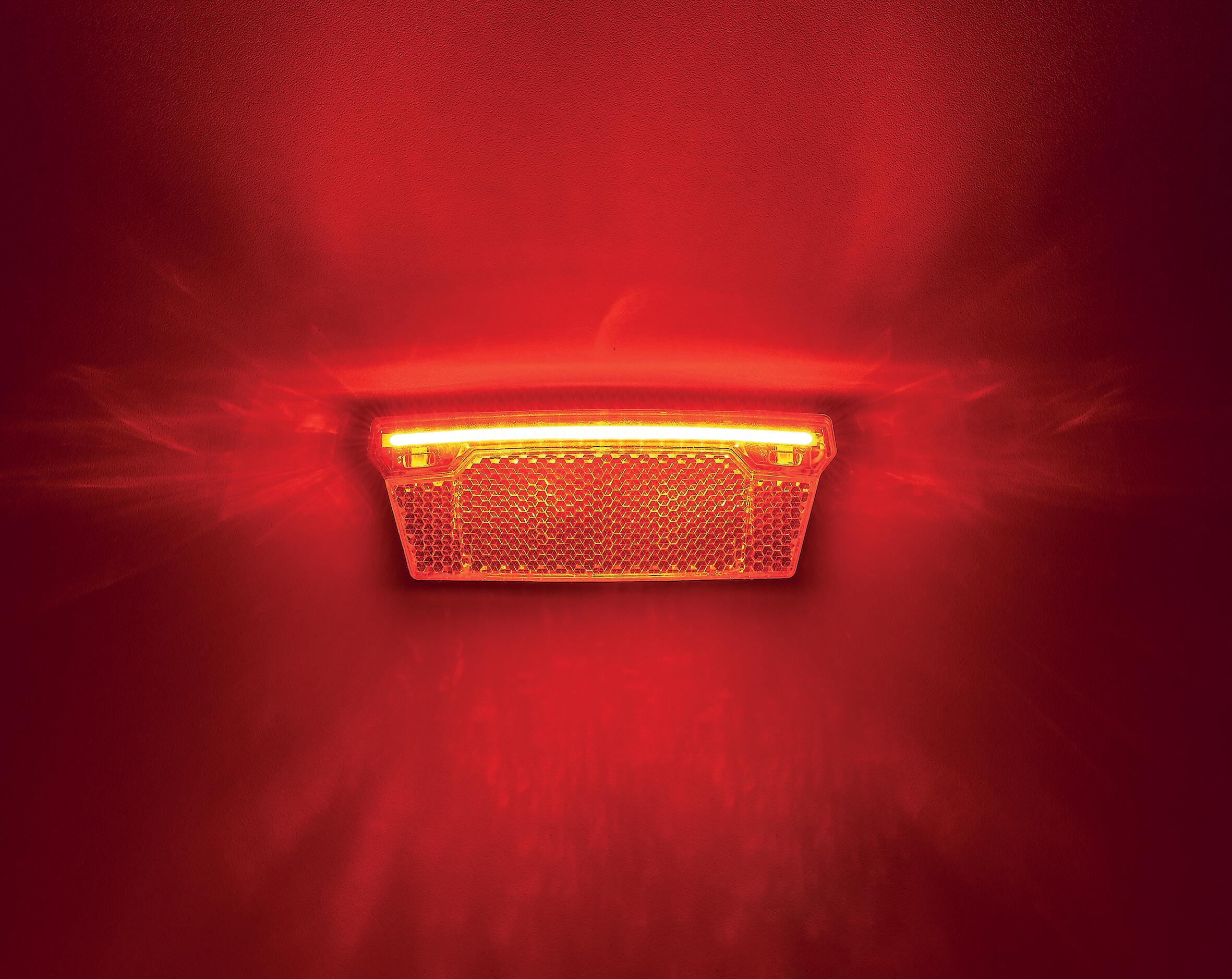 Luce posteriore LED con funzione di luce freno 2/2