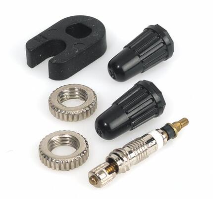 Insertions de valve Sclaverand