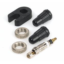 Insertions de valve Sclaverand