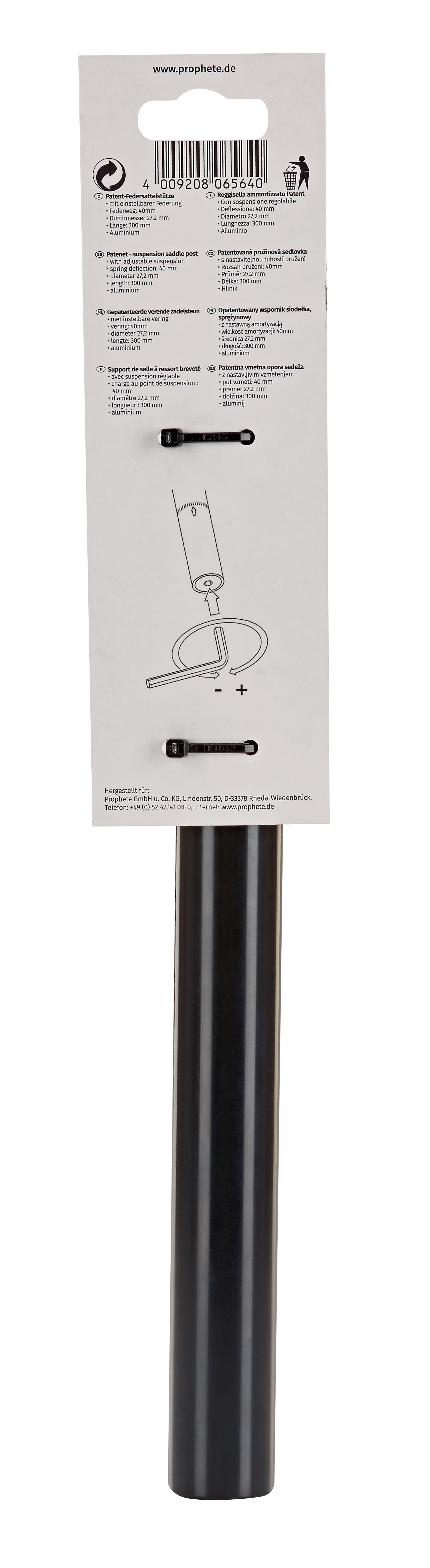 Patent-Federsattelstütze 3/3