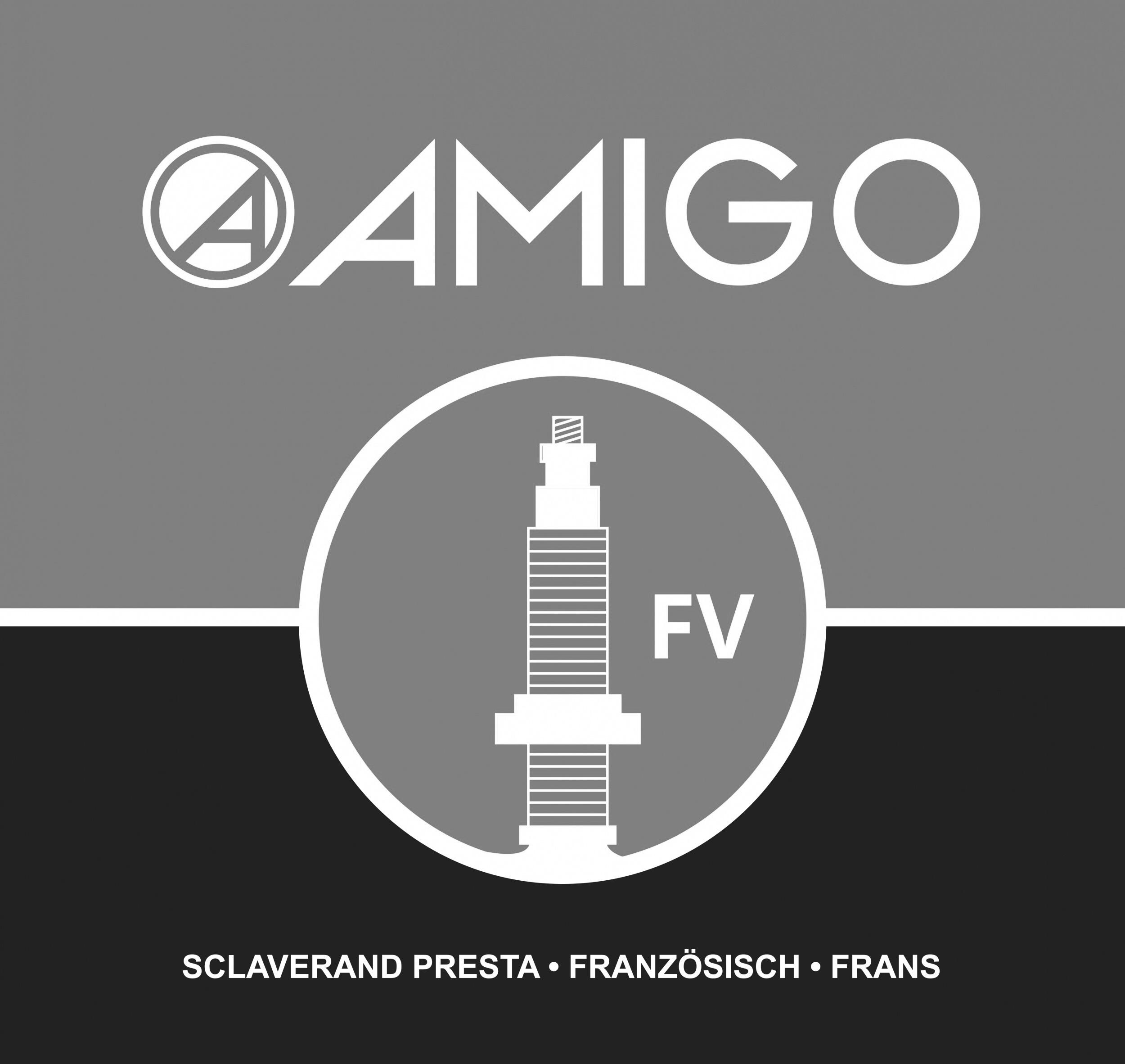 AMIGO innenrohr 28 x 1.00-1 1/16 (25-622) FV 45 mm 5/5