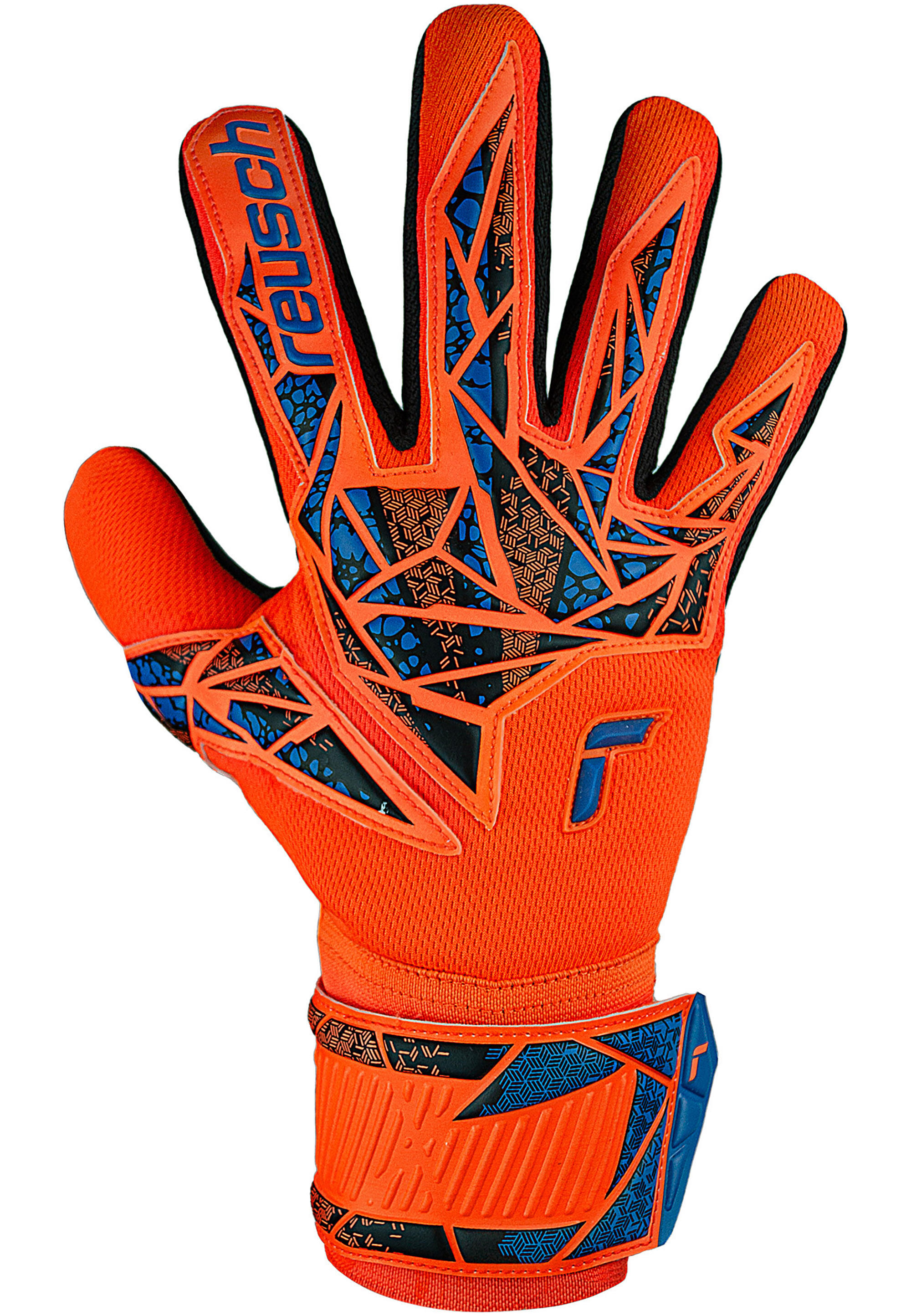 Torwarthandschuh Attrakt Infinity NC Junior 2/7