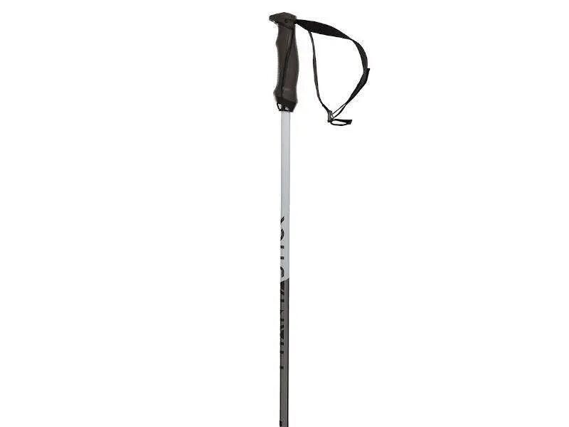 Batons De Ski Phantastick 16mm Black Homme 2/2