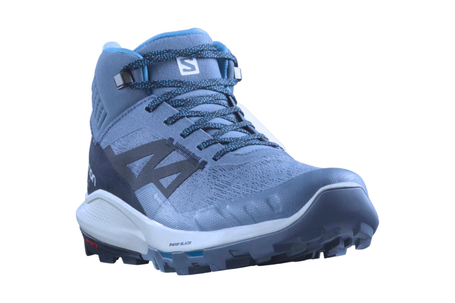 SALOMON picture