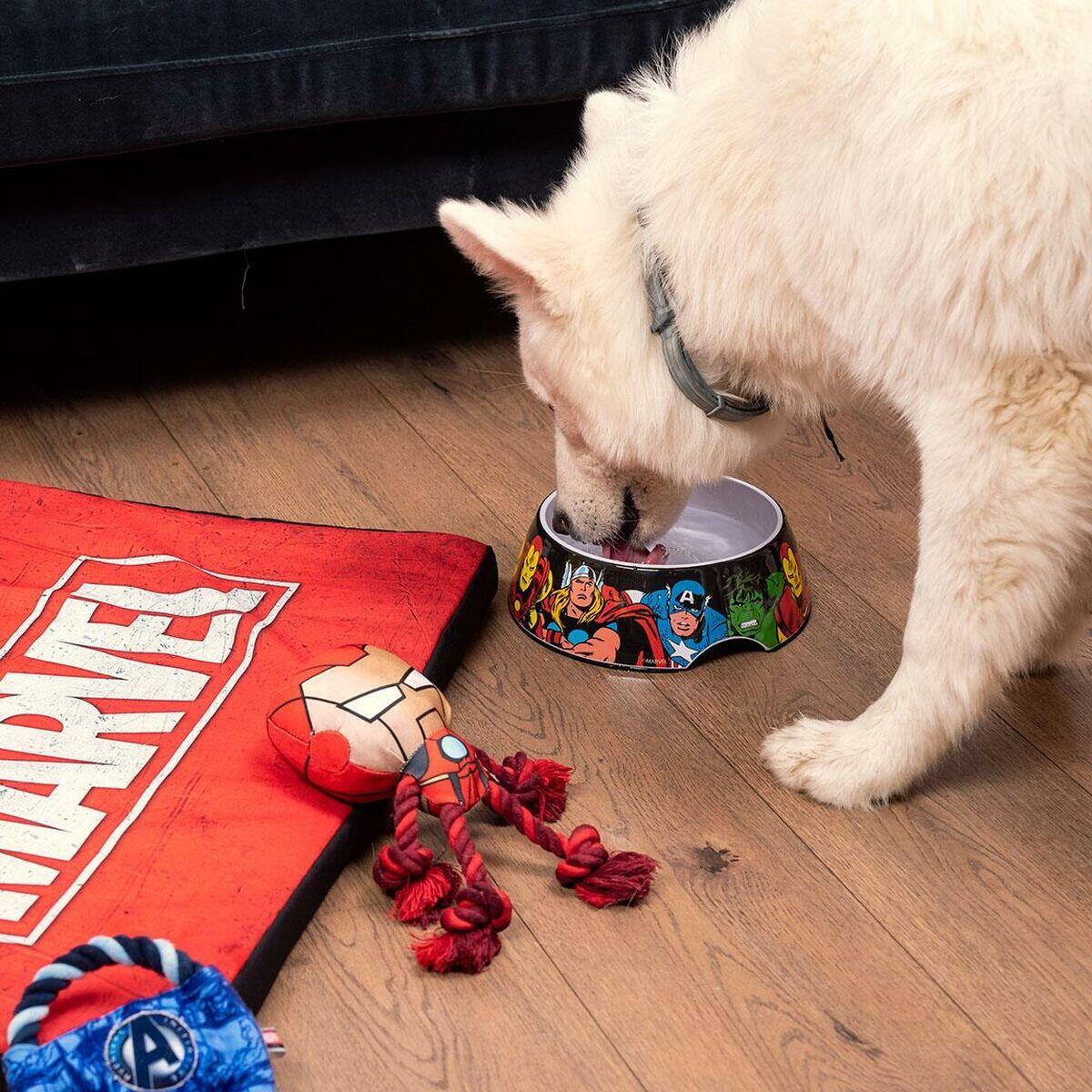 Ciotola per cani Marvel Melammina 3/5