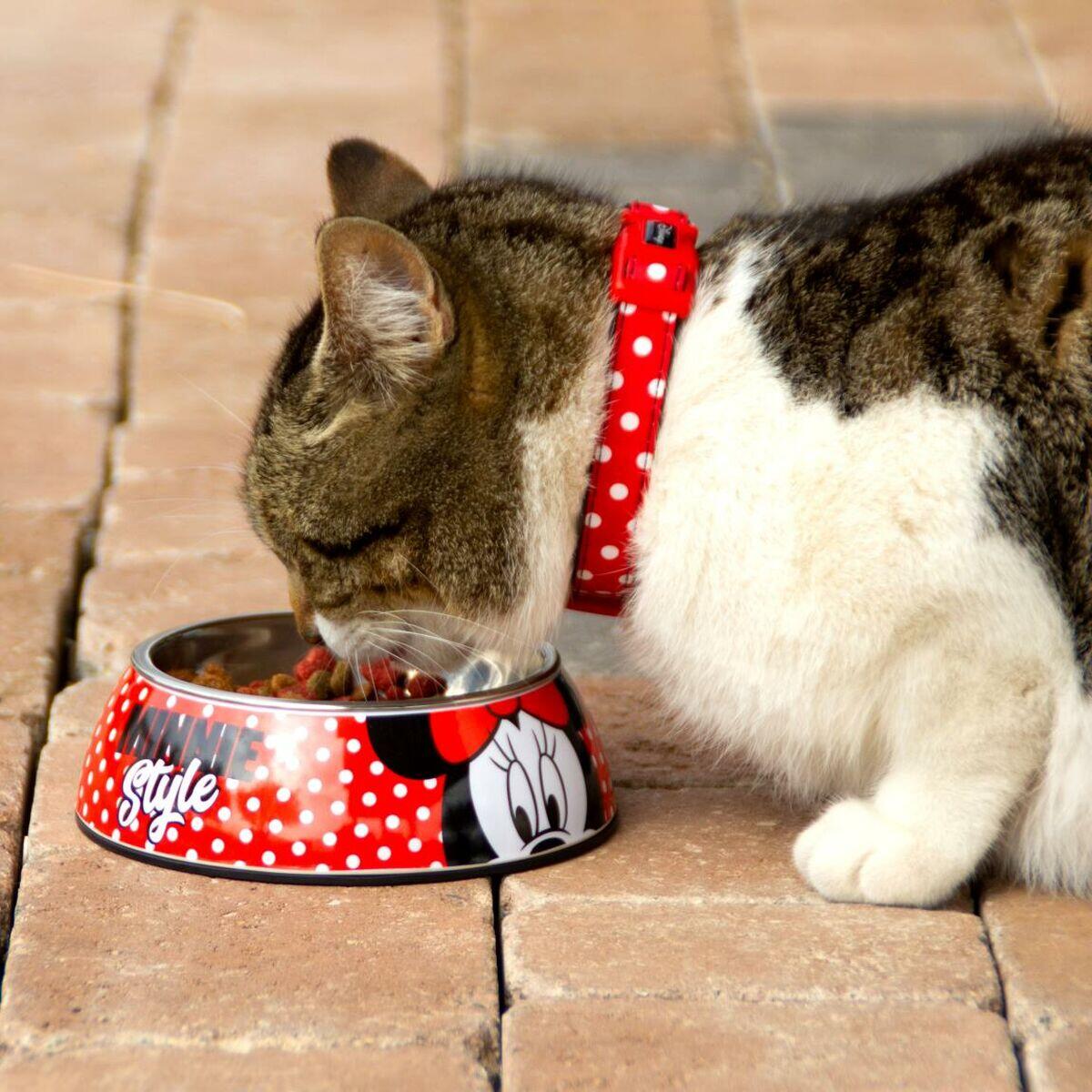 Ciotola per cani Minnie Mouse Melammina 5/5