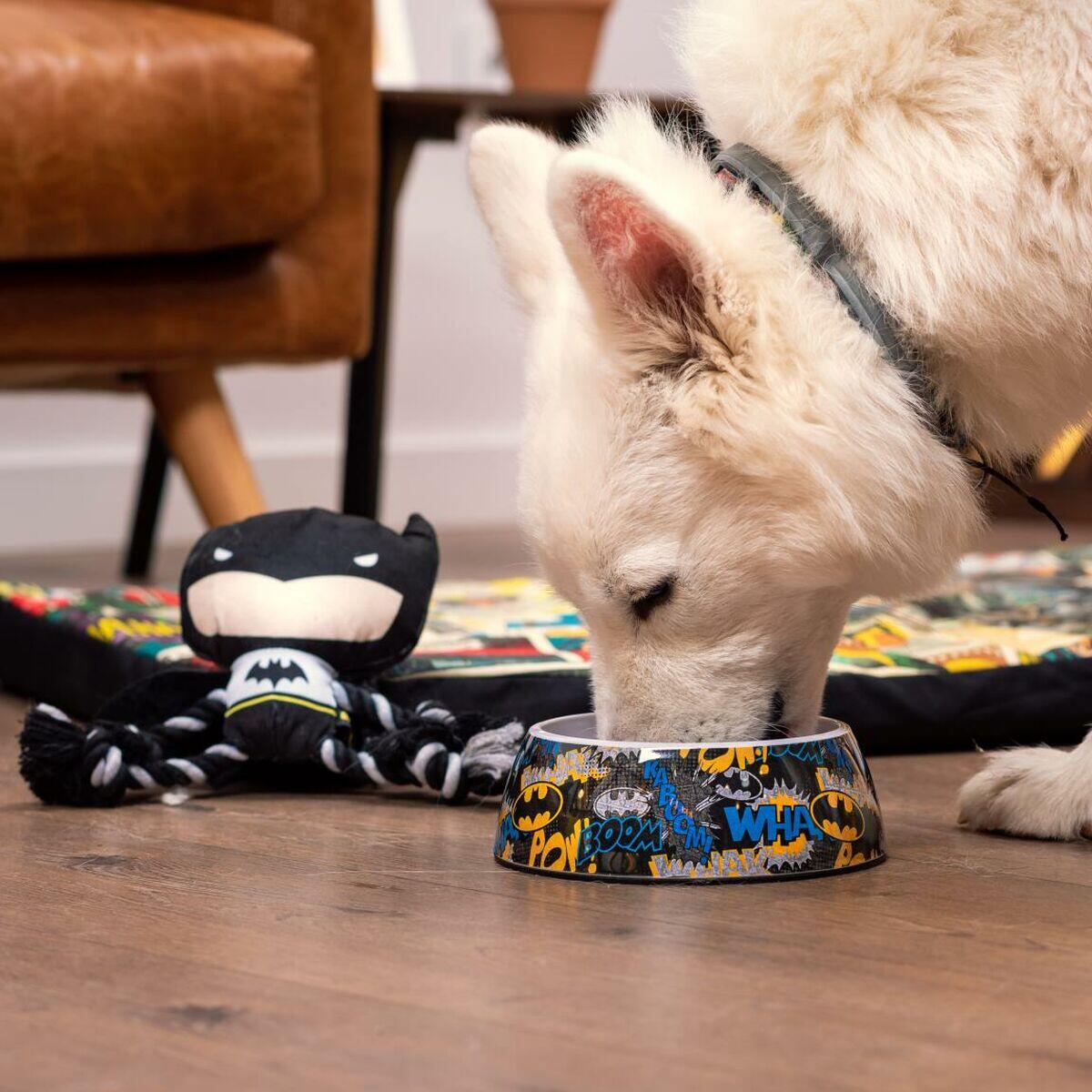 Ciotola per cani Batman Melammina 3/5