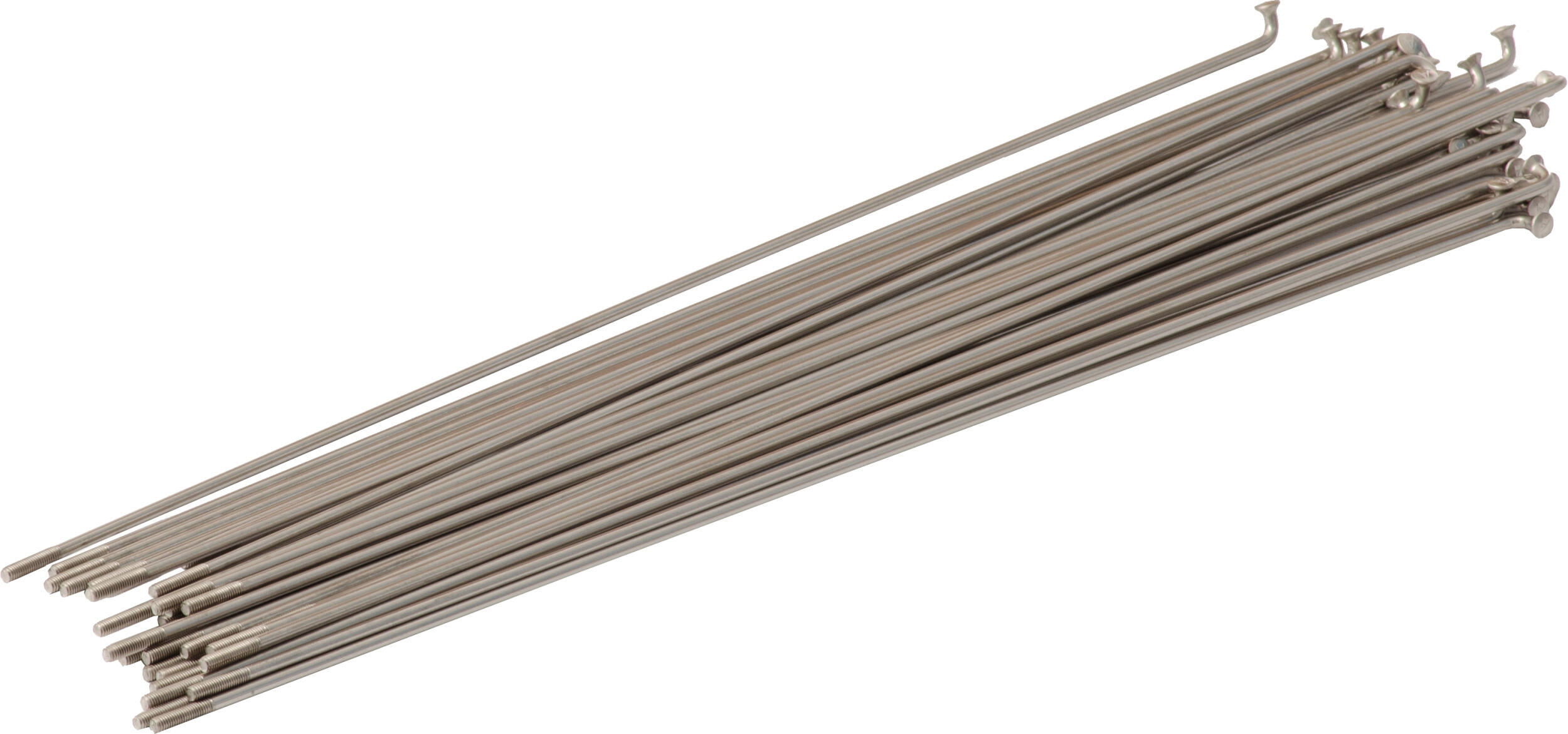 Alpina spaken 13g (2,34mm) 290mm rvs (p36) 2/4