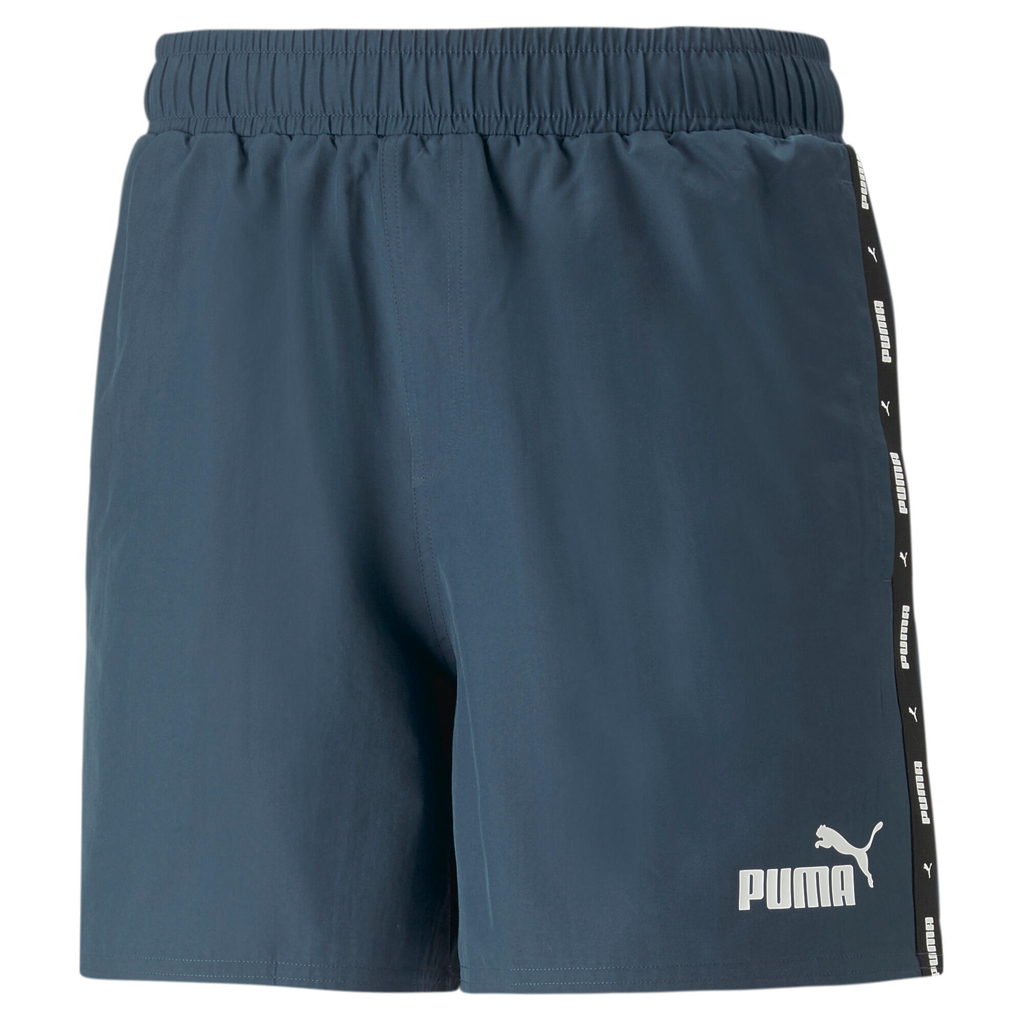 PUMA picture