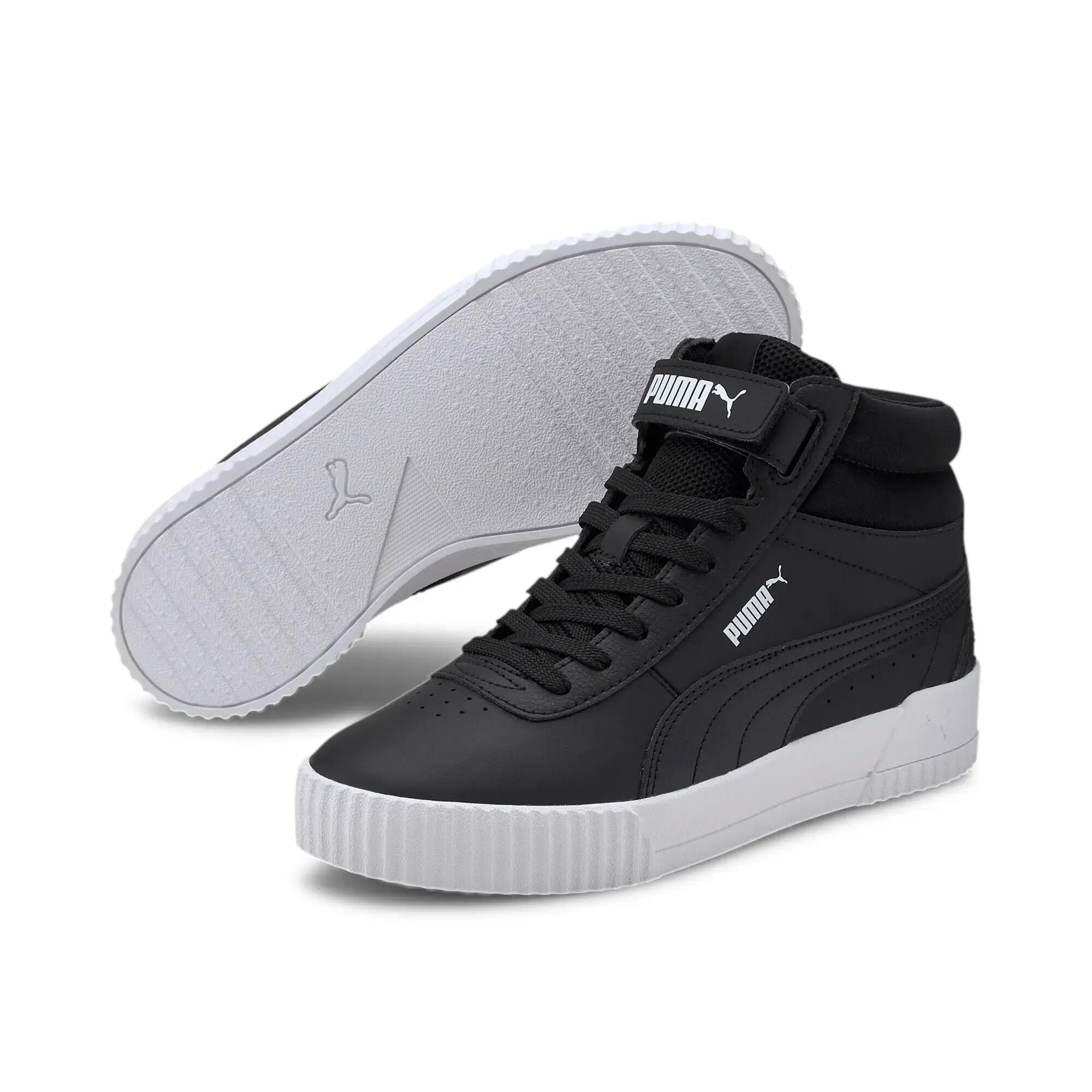 PUMA picture