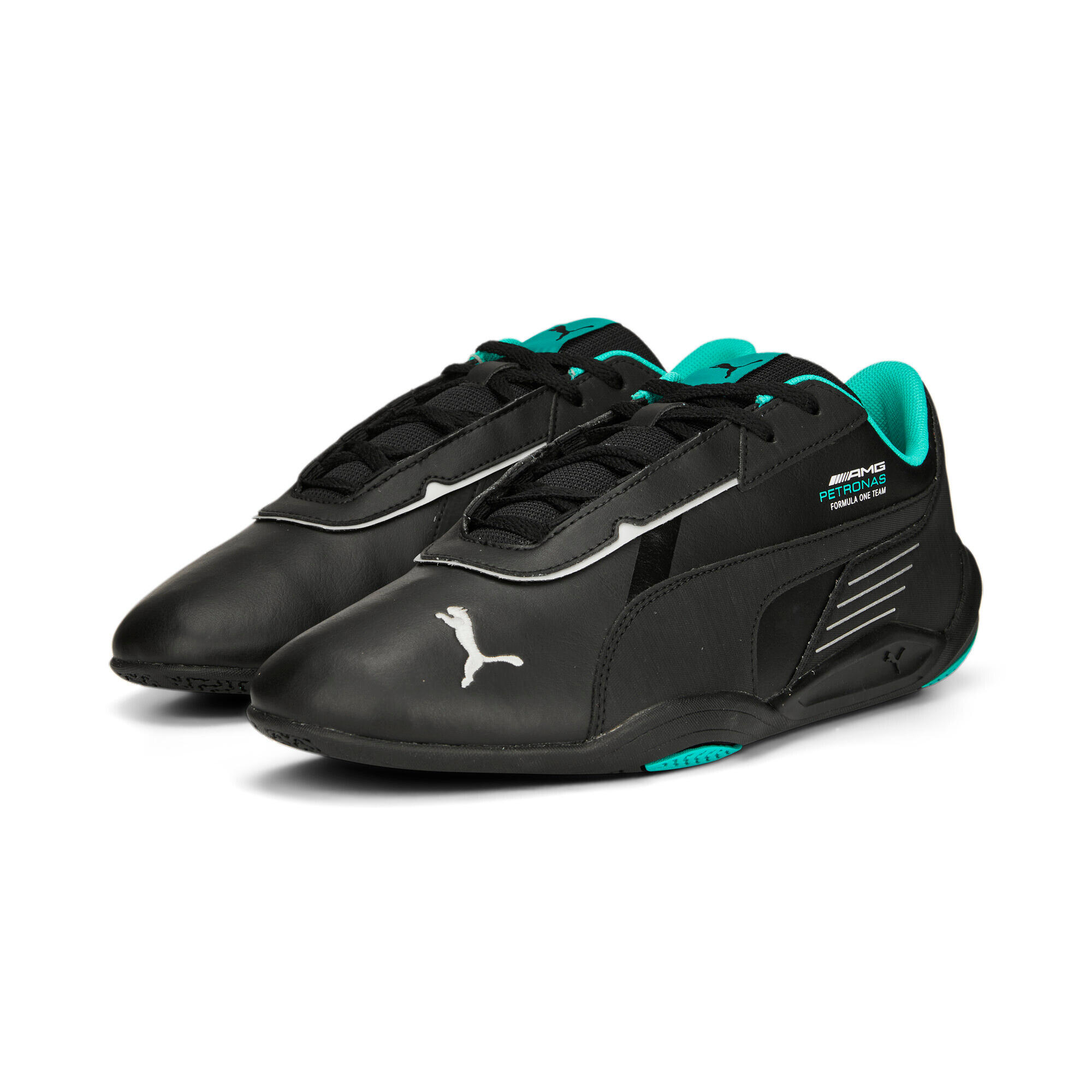 PUMA picture