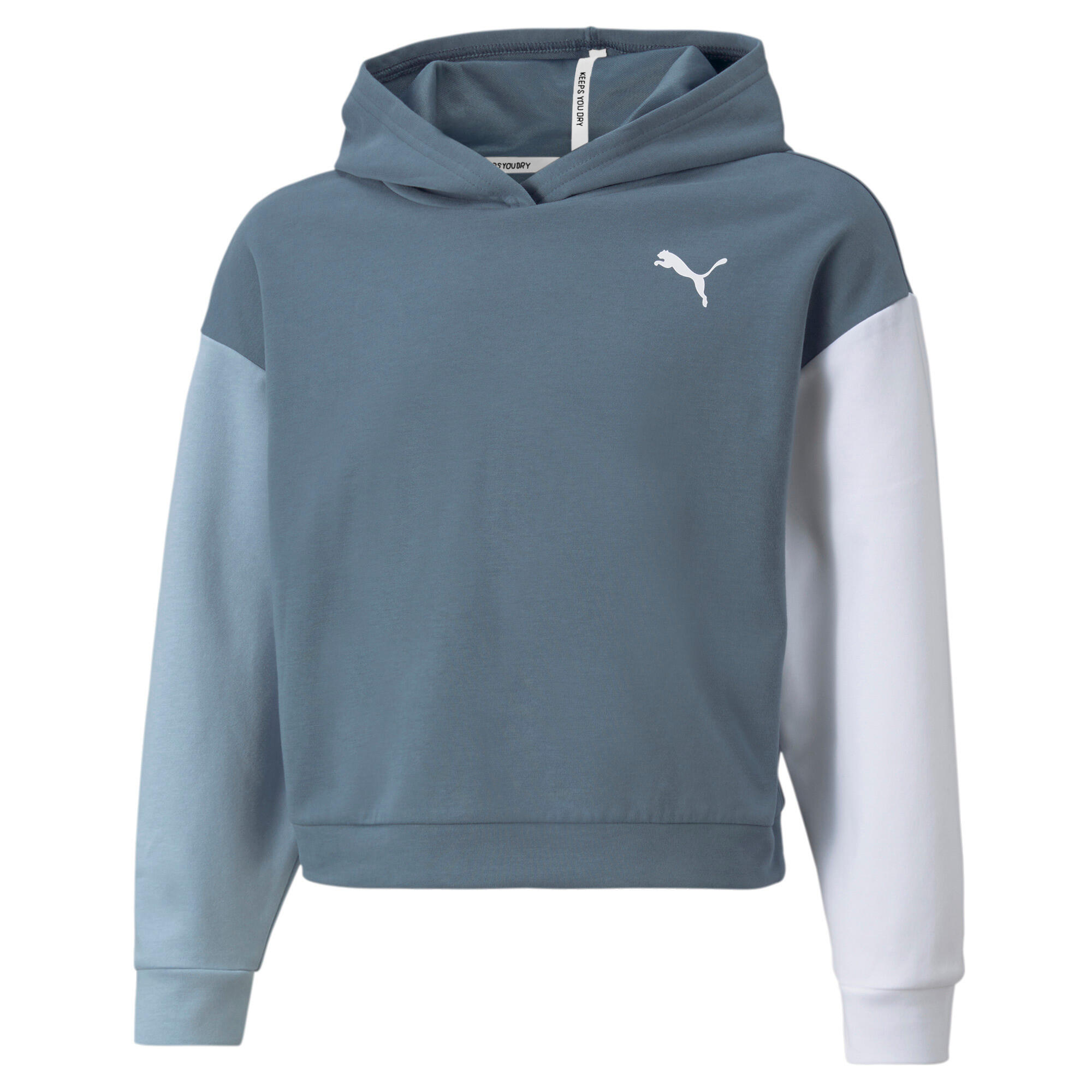 PUMA picture