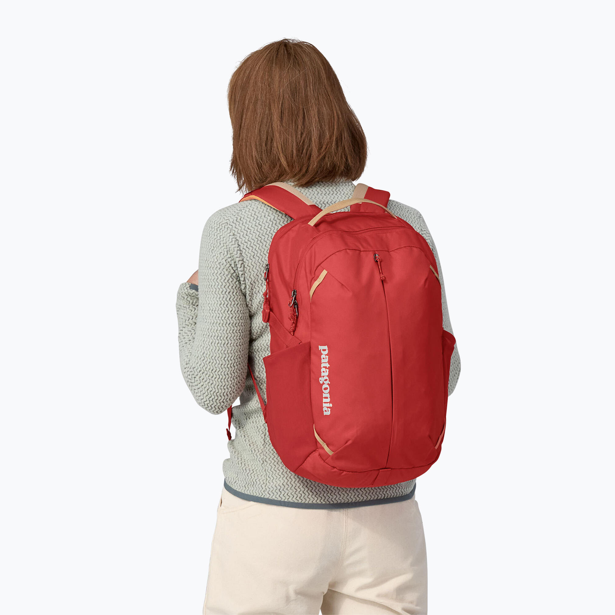 Sac à dos de randonnée Patagonia Refugio Day Pack 4/5