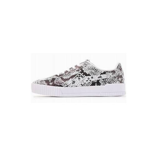 PUMA picture