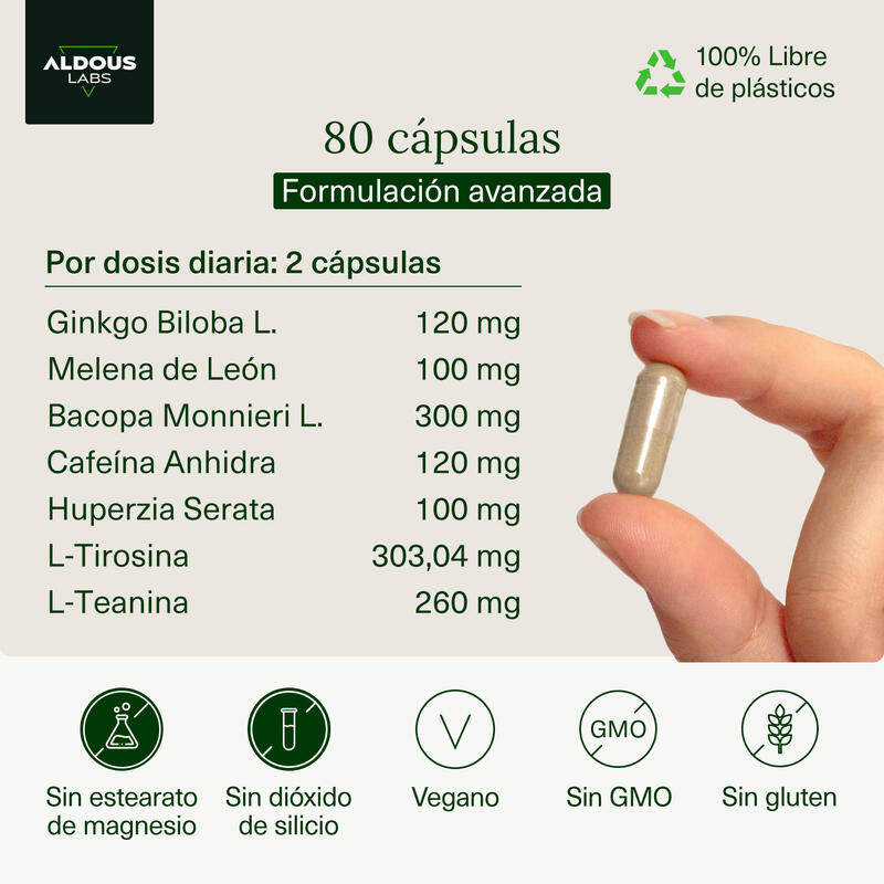 Ginkgo Biloba, Melena de León, Cafeína, Bacopa, Tirosina, Teanina y Huperzina A