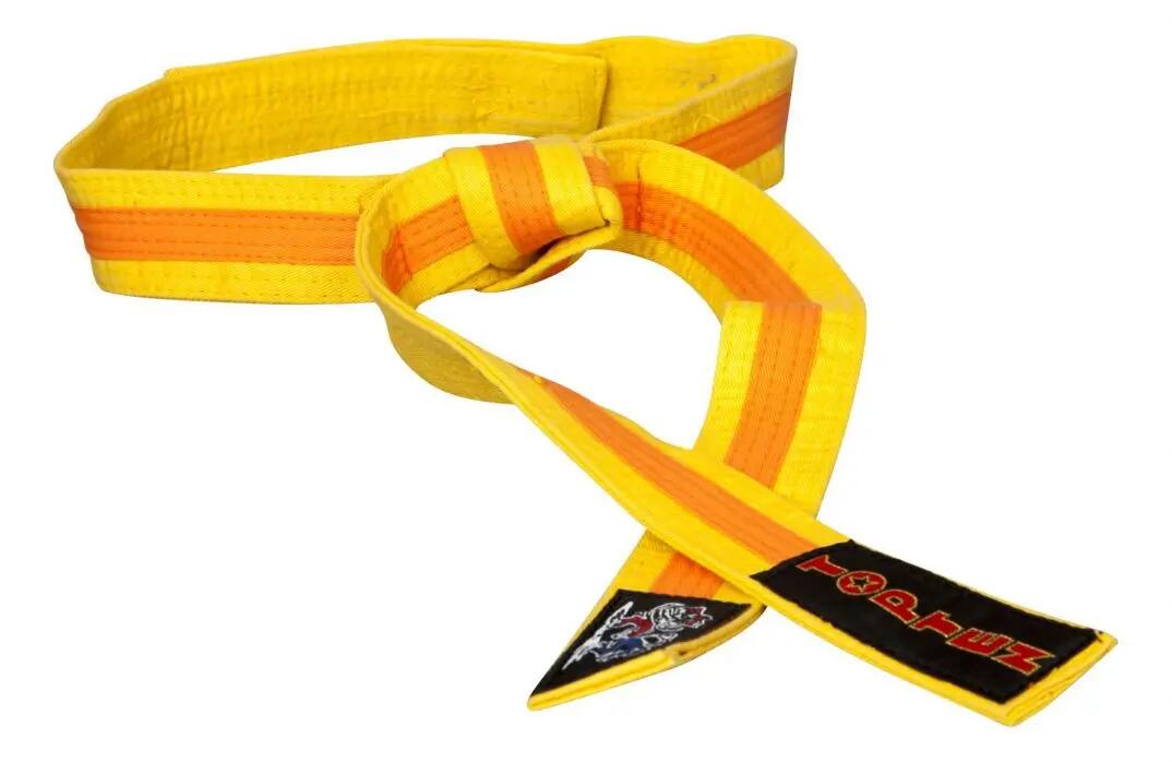Centura de karate "FIGHT CATS" în două culori, Top Ten, Galben-Portocaliu 2/2