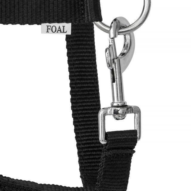 Licol équitation FoalMink 4/5