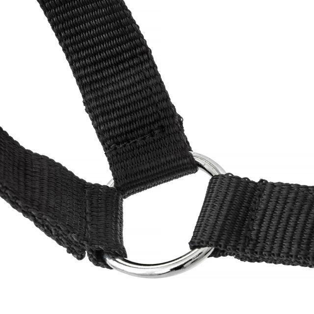 Halter START Economic