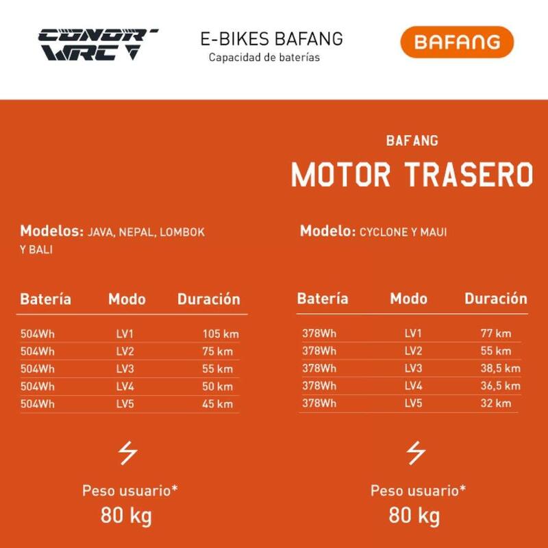 Segunda Vida - Bicicleta de BTT eléctrica WRC Conor Java MTB 29 Alivio 9v XL