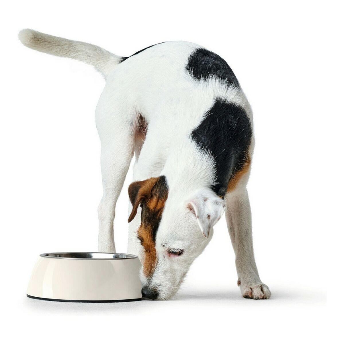 Mangeoire pour chiens Hunter Acier inoxydable 4/5