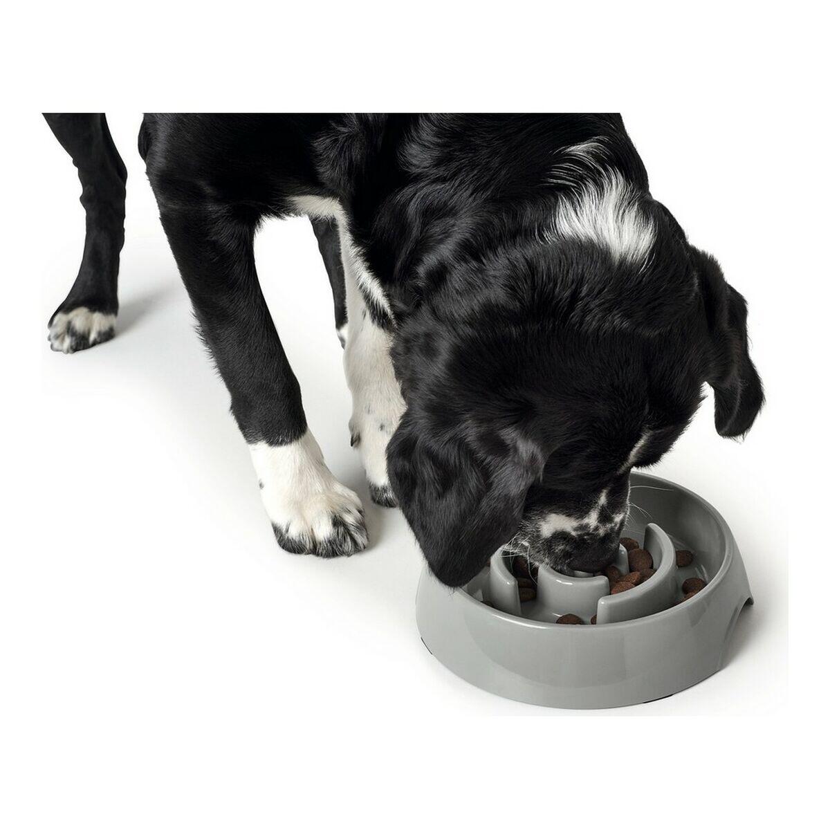Mangeoire pour chiens Hunter Gris 3/5