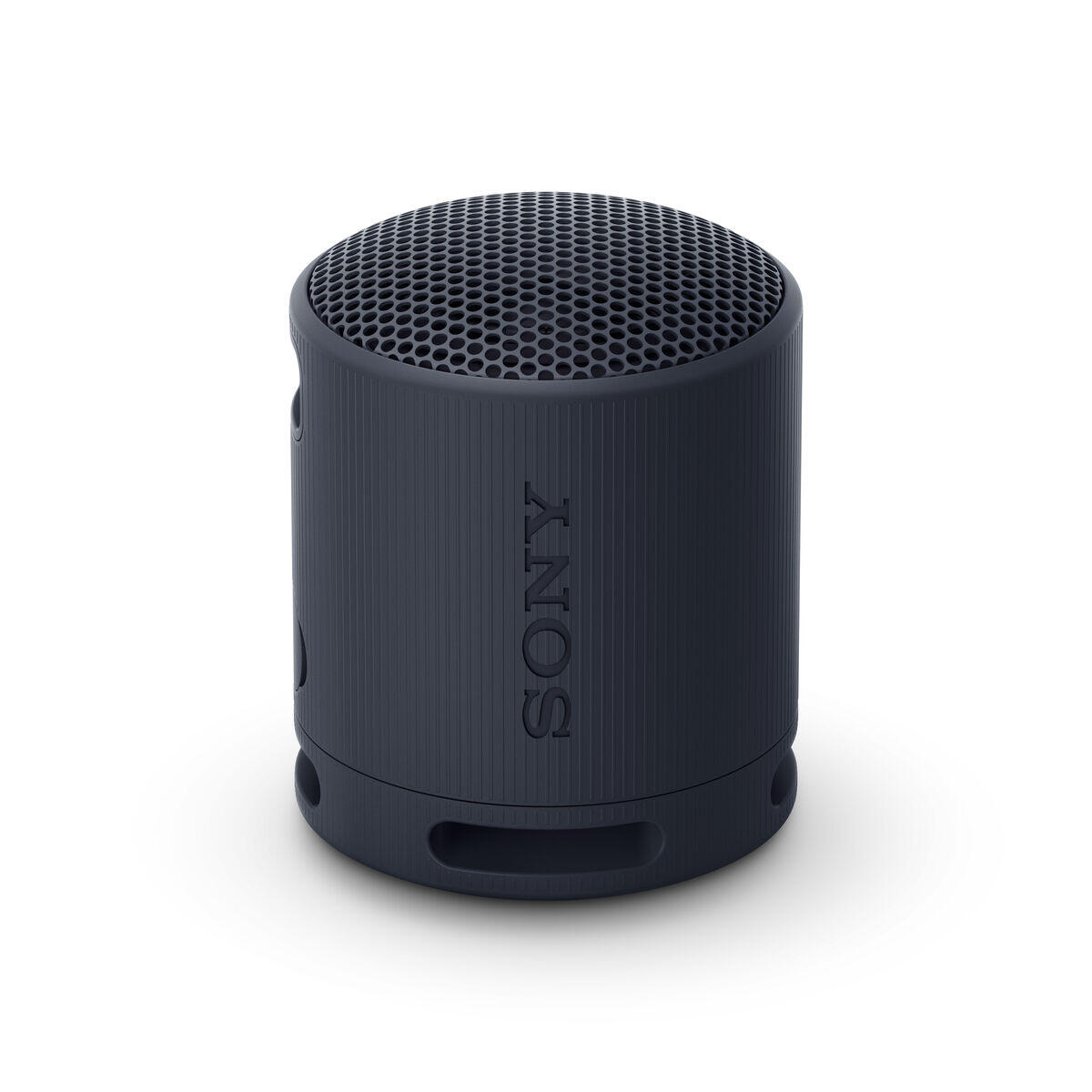 SONY Altifalante Bluetooth Sony SRSXB100B Preto