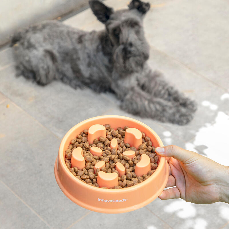 Comedouro de Alimentação Lenta para Animais de Estimação Polipropileno