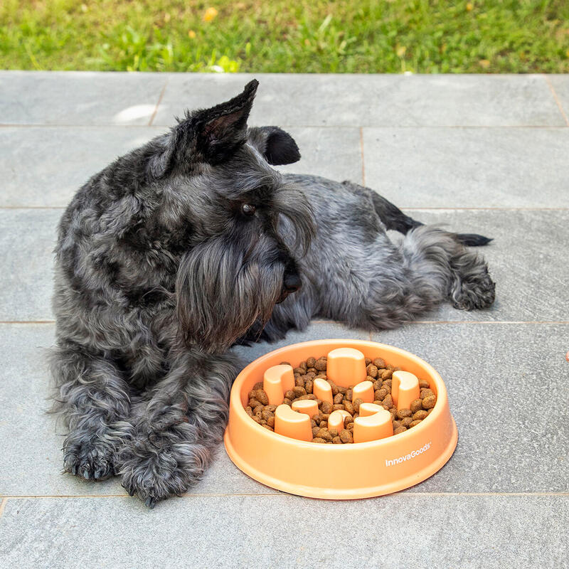 Comedero de Alimentación Lenta para Mascotas Polipropileno
