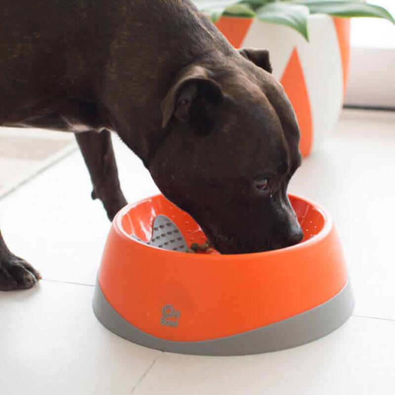 Comedouro para Cão Oh Bowl Laranja