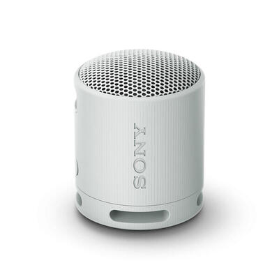 Tragbare Bluetooth-Lautsprecher Sony SRSXB100H Weiß