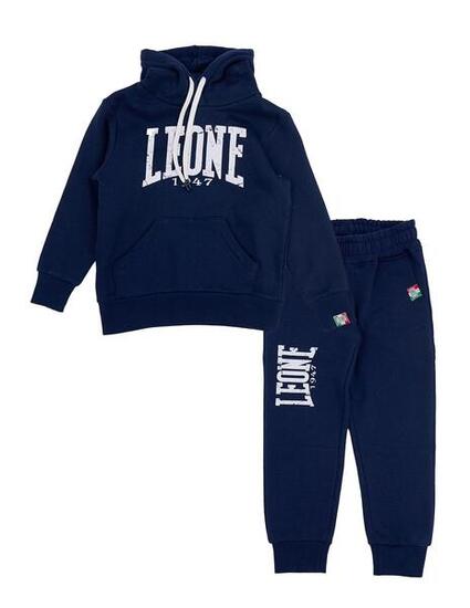 Löwe-Kapuzen-Trainingsanzug für Kinder, Grey Boy-Trainingsanzug