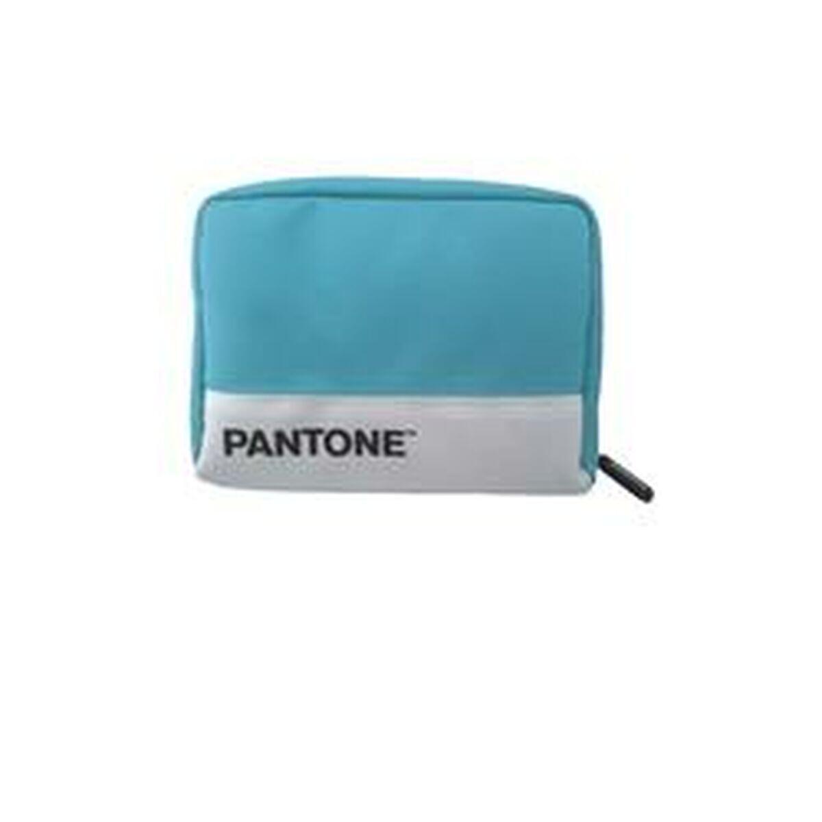 PANTONE picture
