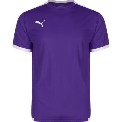 Fußballtrikot TeamLIGA Herren PUMA
