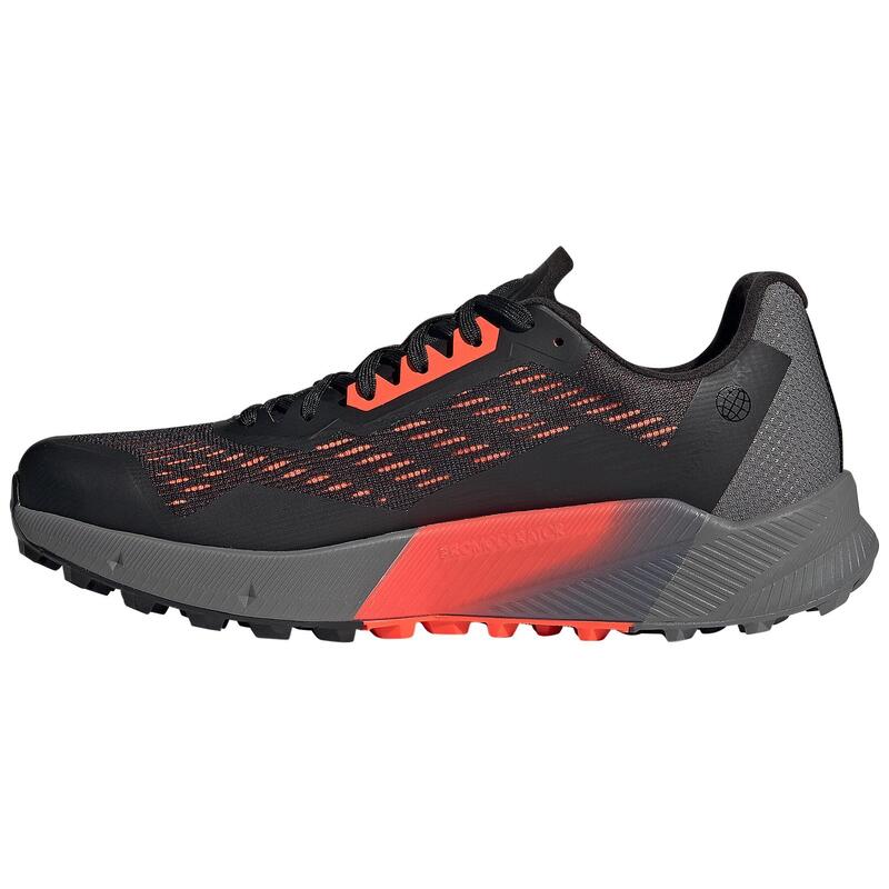 Schoenen van trail adidas Terrex Agravic Flow 2.0