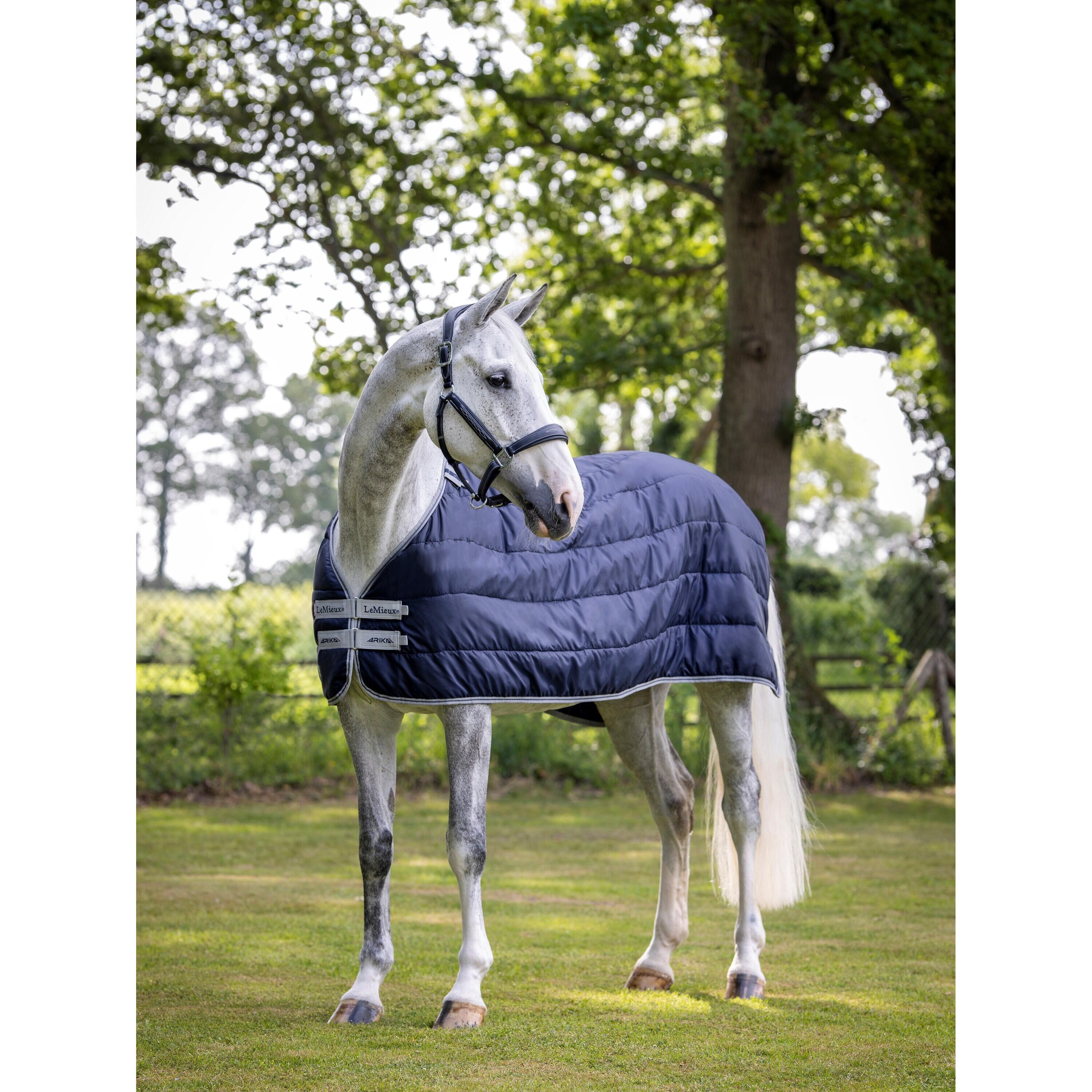 Couverture d'extérieur pour cheval LeMieux Arika 100 g 2/5