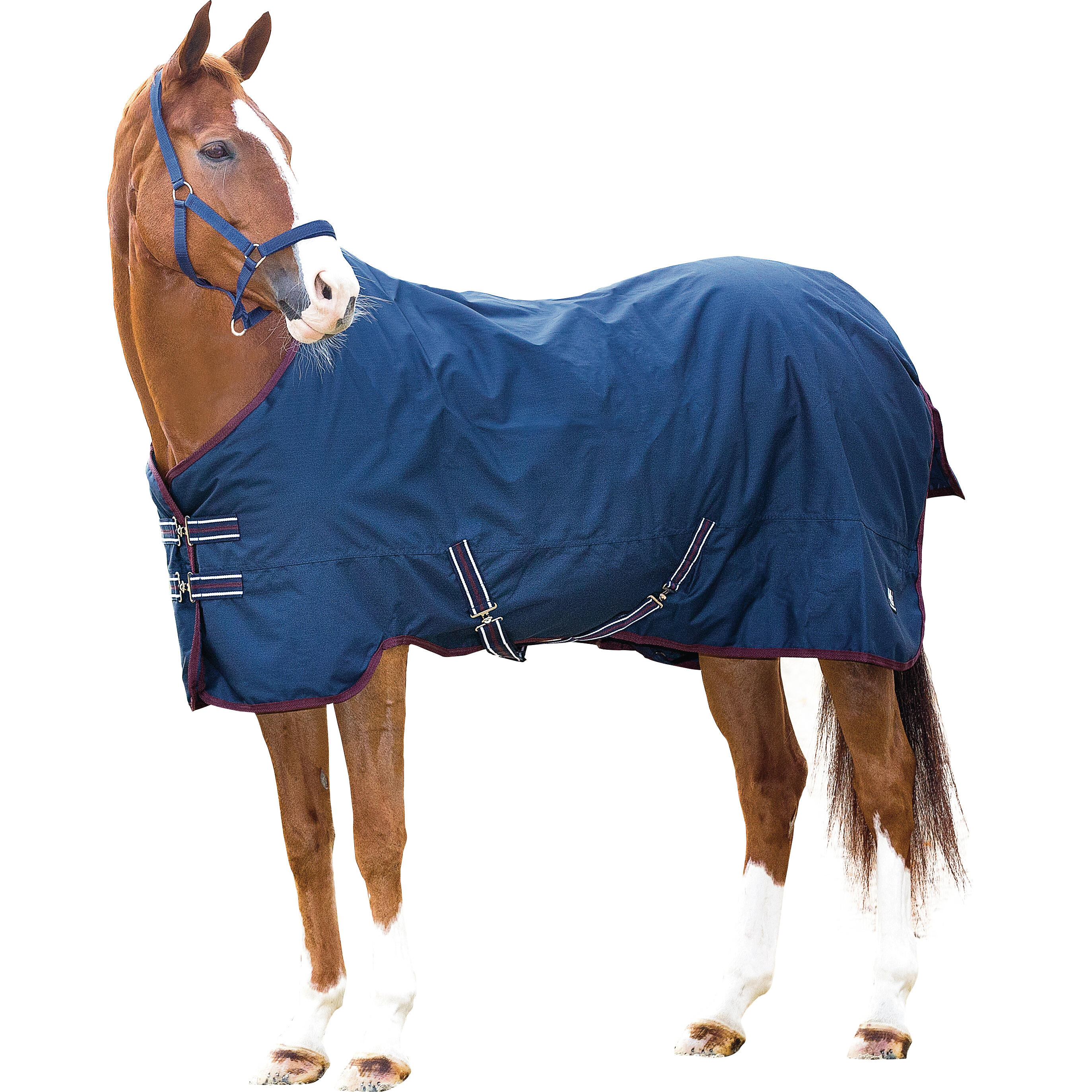 HorseGuard 600D 400 g horse rug