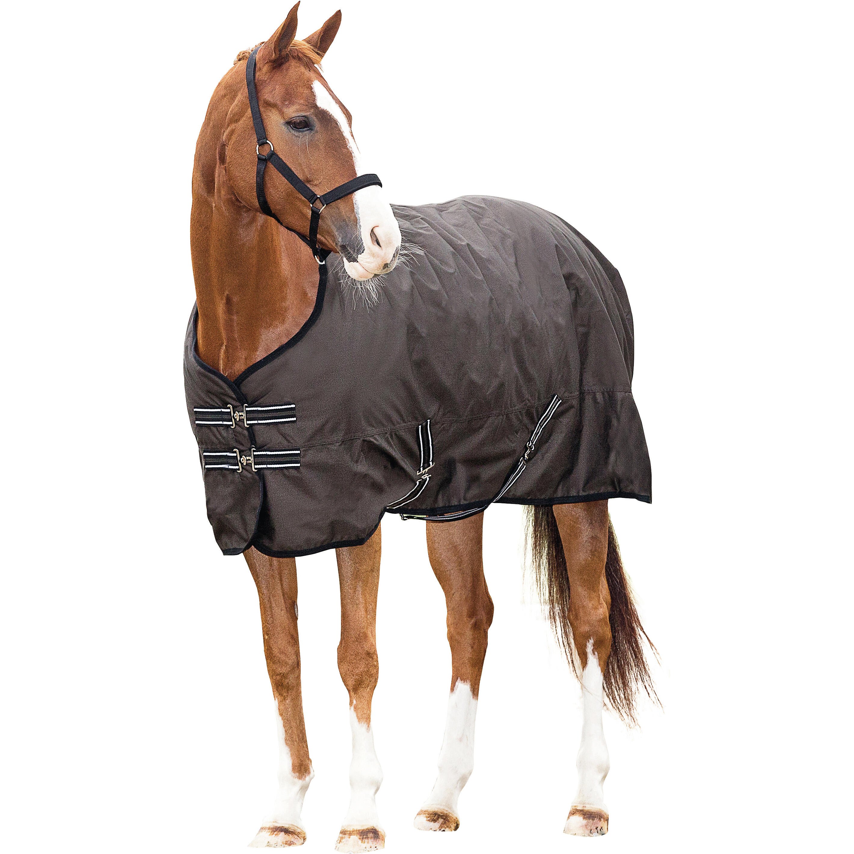 HorseGuard 600D 400 g horse rug