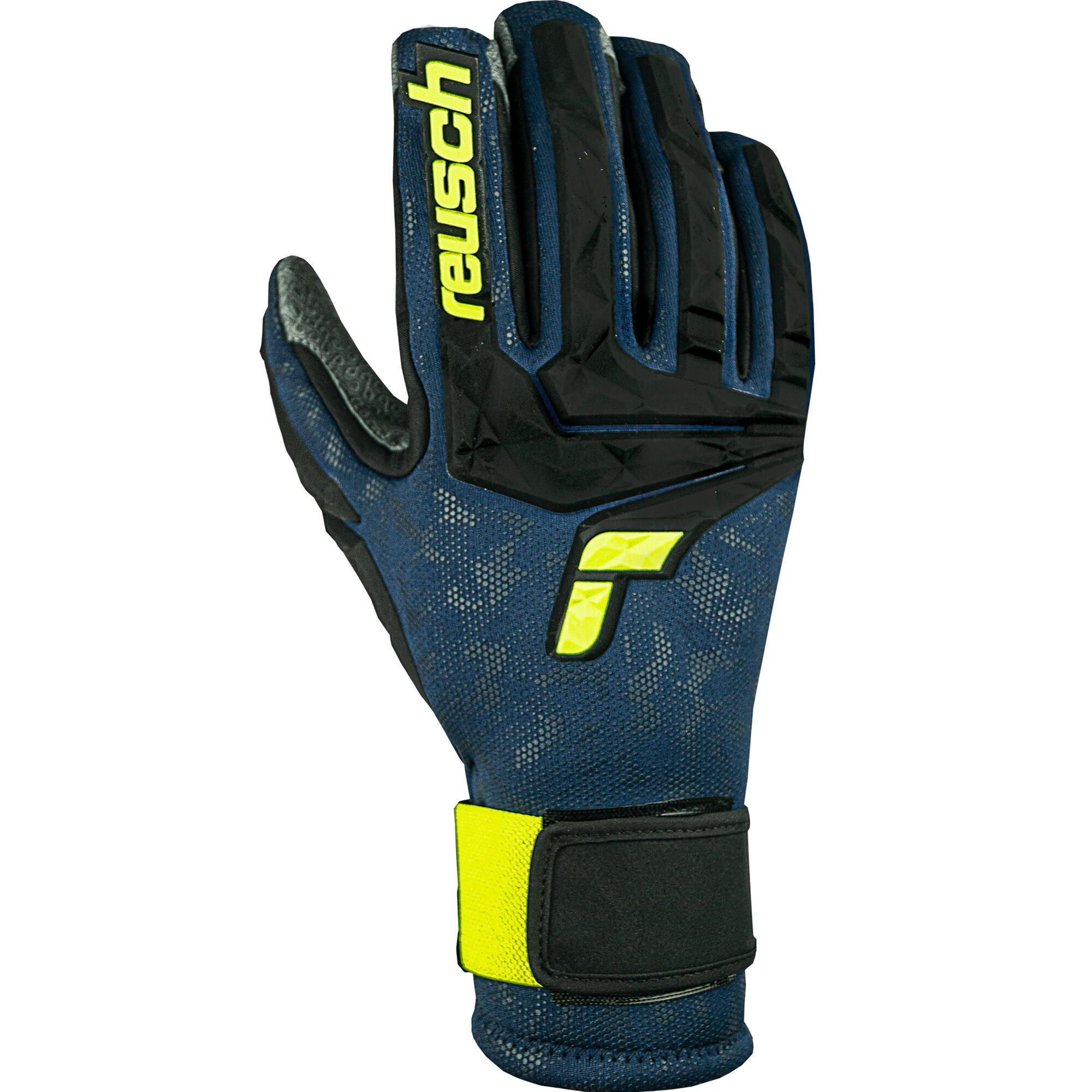 REUSCH picture