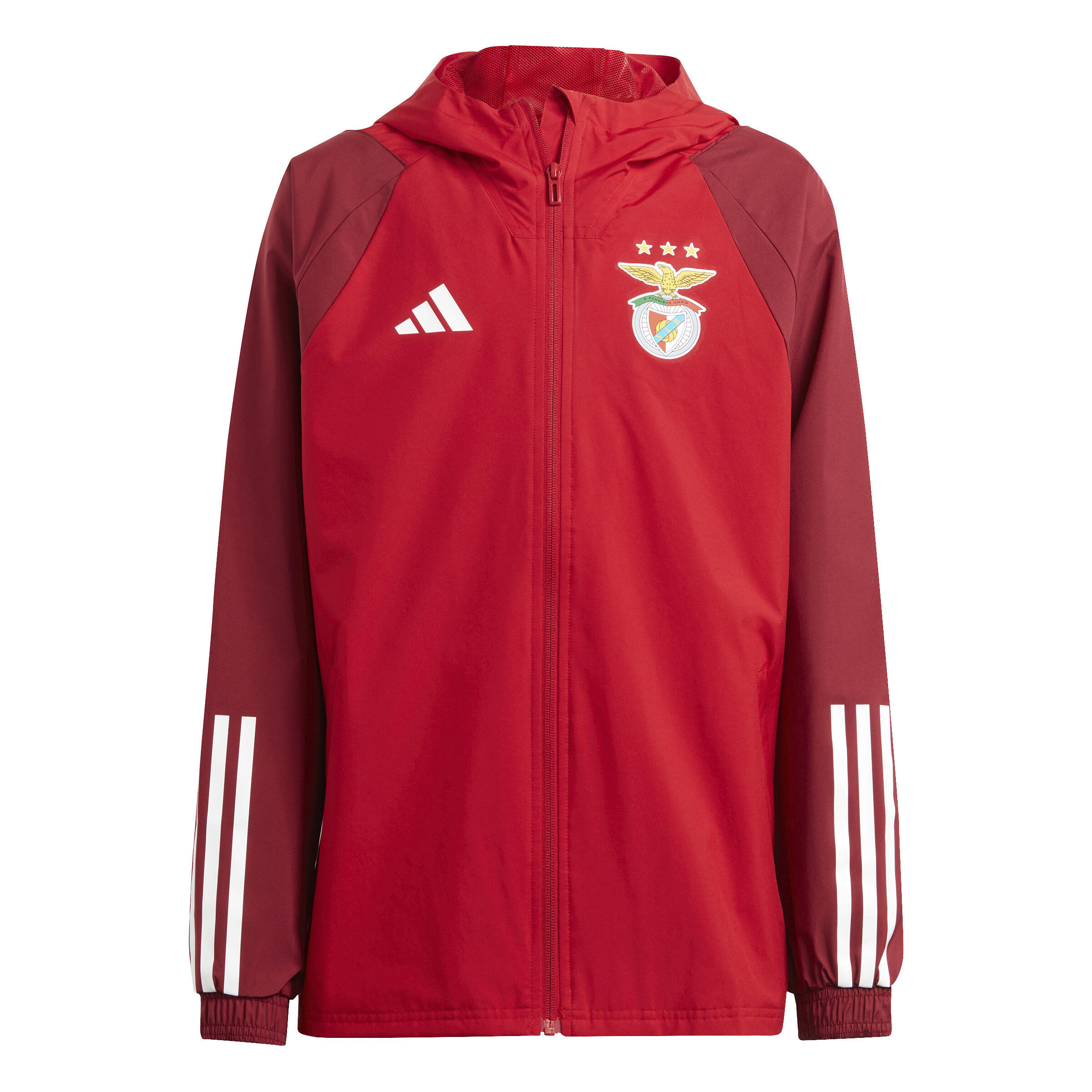 Veste et Coupe vent Benfica Lisbonne