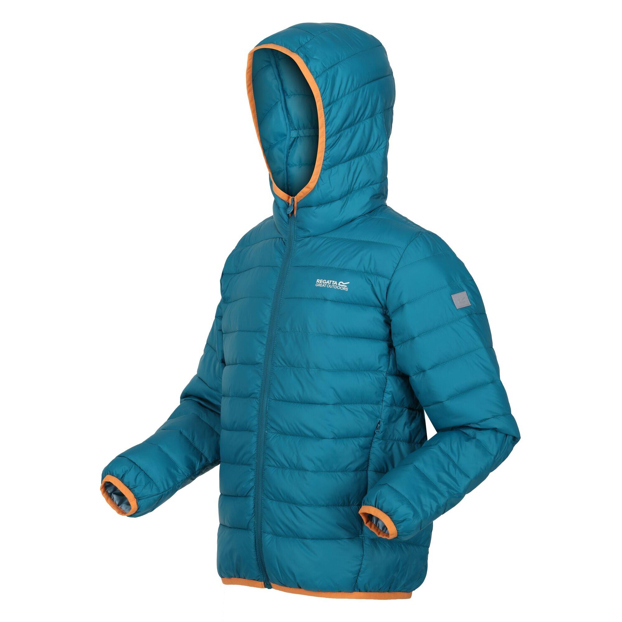 Childrens/Kids Marizion Hooded Padded Jacket (Gulfstream/Sea Haze) 3/5