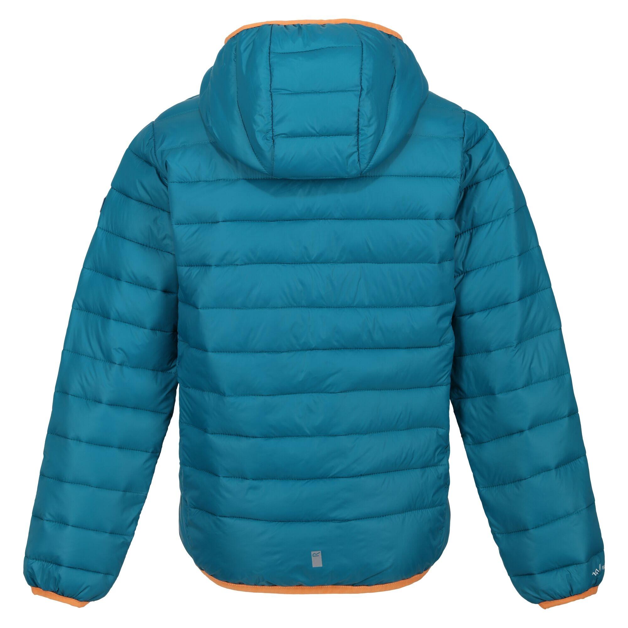 Childrens/Kids Marizion Hooded Padded Jacket (Gulfstream/Sea Haze) 2/5