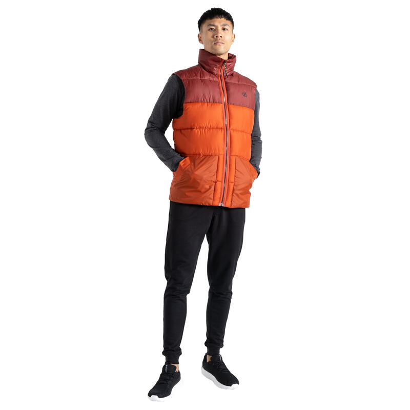 Gilet Imbottita Uomo Dare 2B City Tè Rooibos Marrone Scuro