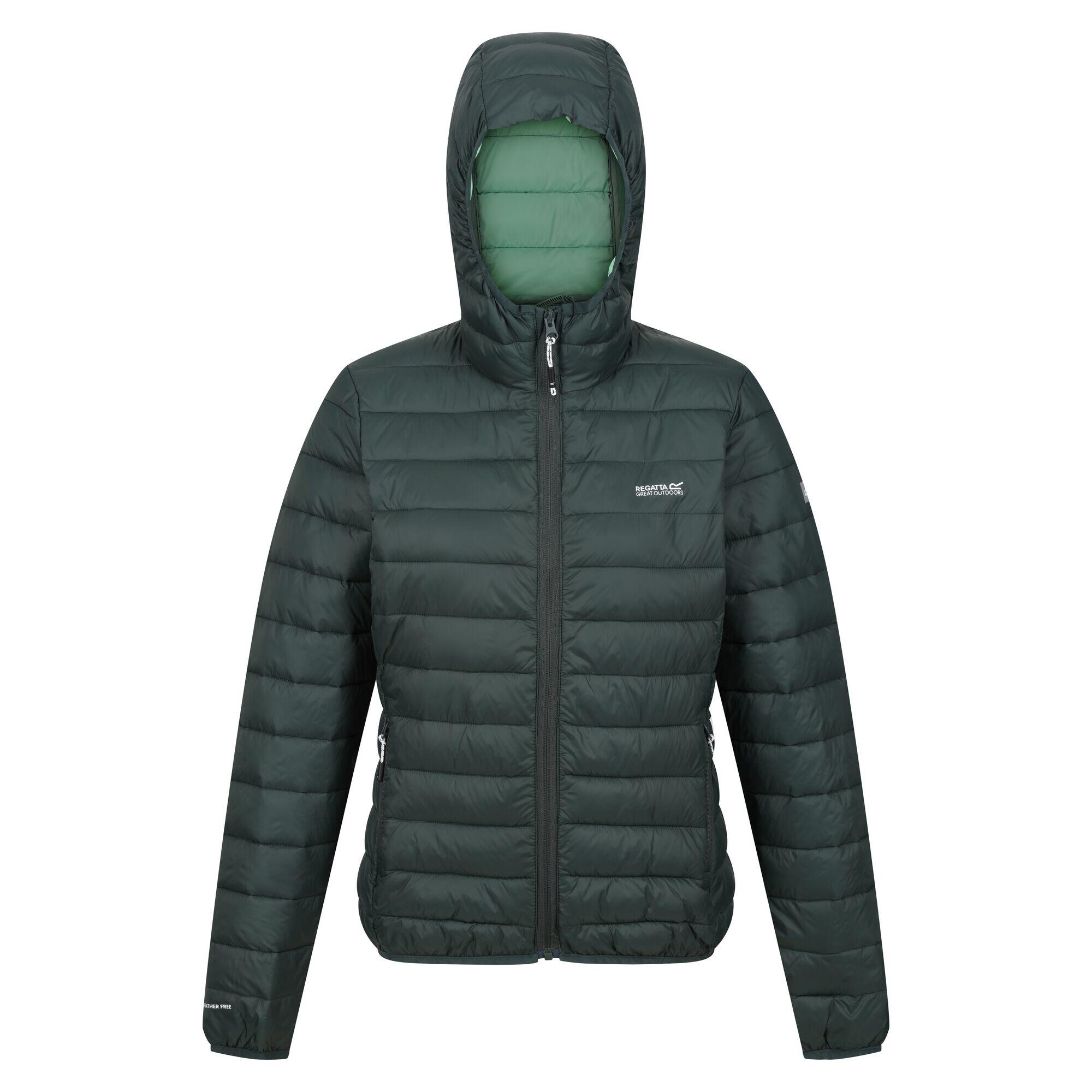 REGATTA Womens/Ladies Marizion Hooded Padded Jacket (Darkest Spruce/Quiet Green)